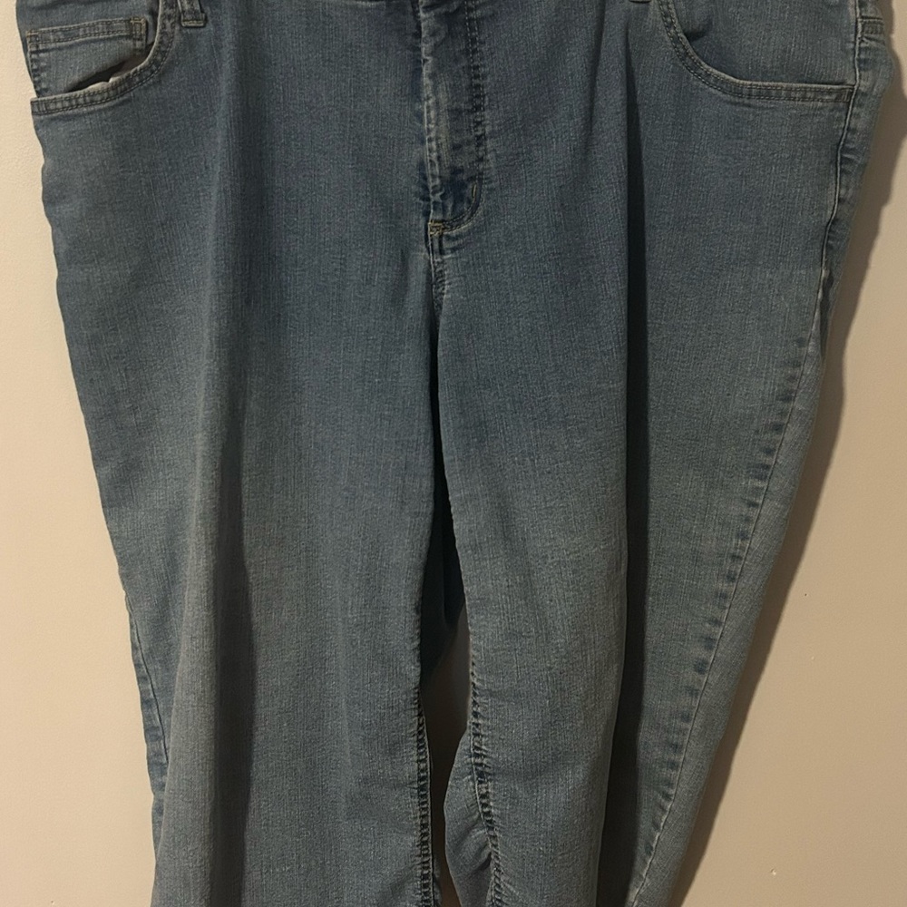 Faded Glory plus size capris size 26W